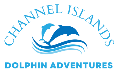 Channel Islands Dolphin Adventures